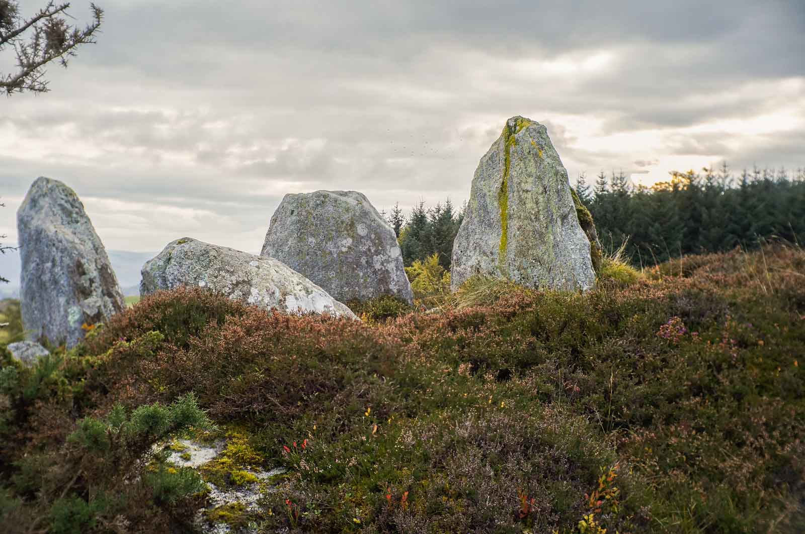 Ivy Cottage Holiday, Strathpeffer standing stones