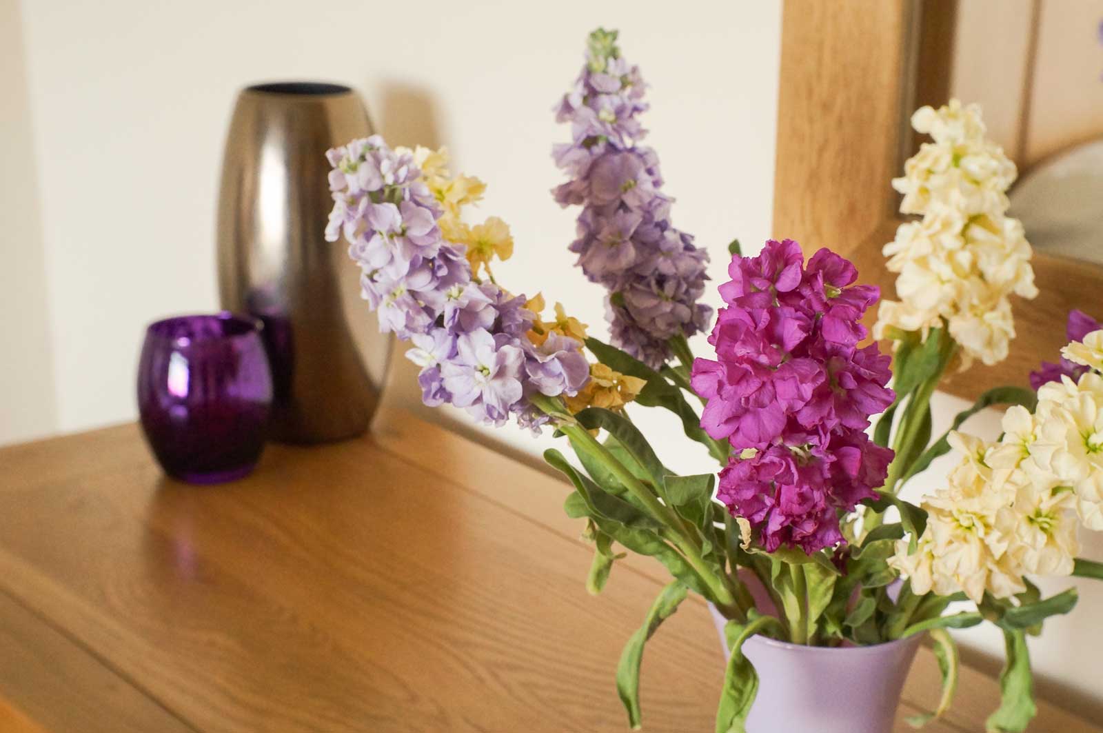 ivy cottage strathpeffer flowers